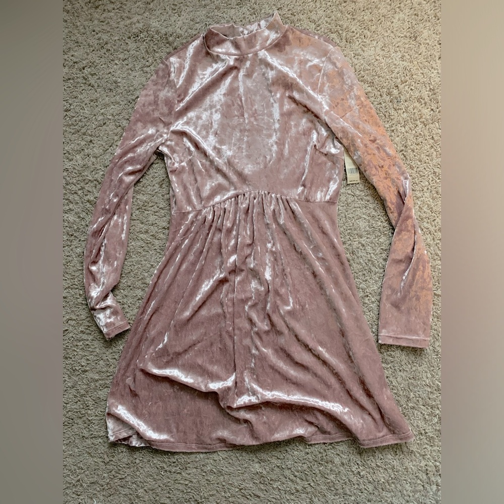 Blush Pink Velour Dress